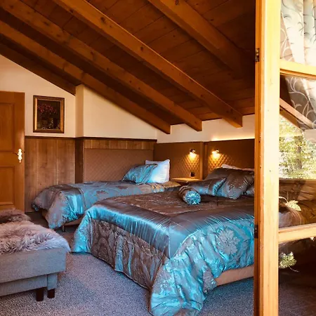 Golden Gapa River Luxury Penthouse 25 公寓 加爾米施-帕滕基興